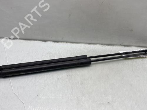 tailgate-lift-support-dacia-logan-mcv-ii-2013-24208085 main image