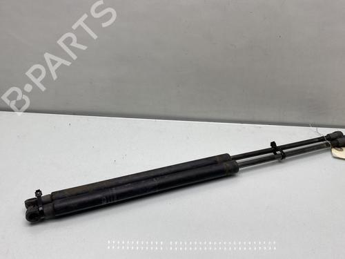Used Tailgate lift support FIAT 500 (312_) 1.3 D Multijet (312AXB1A) (75 hp) 25587353