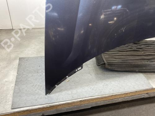 Hood LANCIA PHEDRA (179_) 2.0 D Multijet (179.AXL1B, 179.BXL1B) | BP21485909C1 