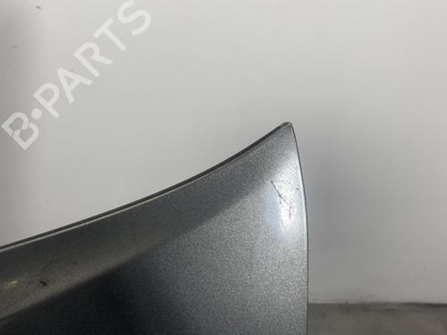 Hood TOYOTA COROLLA Verso (ZER_, ZZE12_, R1_) 2.2 D-4D (AUR10_, AUR10R) | BP19974163C1 