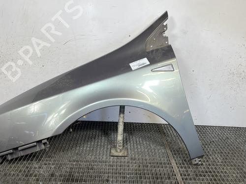 Used Left front fenders RENAULT VEL SATIS (BJ0_) 2.2 dCi (BJ0E, BJ0F, BJ0G, BJ0H) (140 hp) 28385423