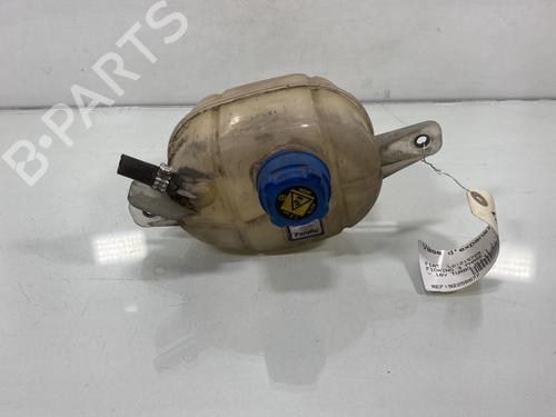 Used Expansion tank FIAT FIORINO Box Body/MPV (225_) 1.3 D Multijet (225BXD1A, 225BXB1A, 225BXB11) (75 hp) 19988018