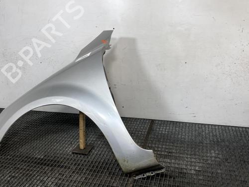 Left front fenders KIA CEE'D Hatchback (ED) 1.6 CRDi 90 | BP21963583C41 
