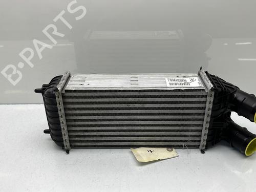 Intercooler CITROËN C3 AIRCROSS II (2R_, 2C_) 1.5 BlueHDi 110 | BP24214582M30  - Image 7