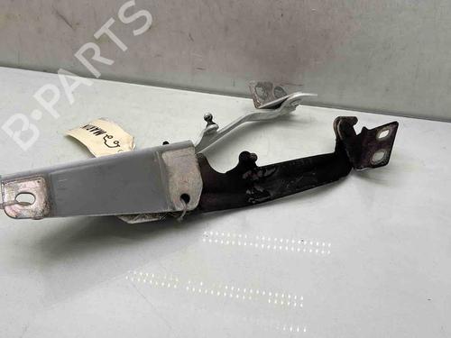 hingedoor-check-strap-renault-kangoo-express-fw01_-2008-36590909 main image