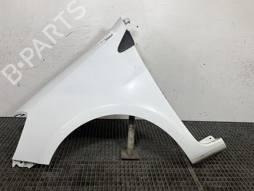 Used Left front fenders RENAULT CLIO III (BR0/1, CR0/1) 1.5 dCi (BR17, CR17) (86 hp) 29456197