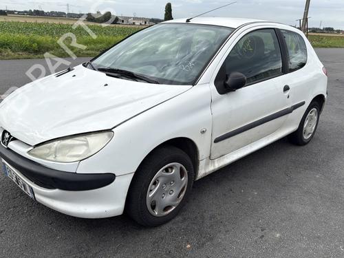 Right front door PEUGEOT 206 Hatchback (2A/C) 1.9 D | BP29279101C3 