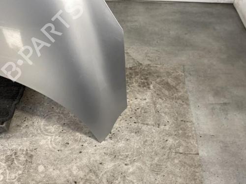 Hood RENAULT SCÉNIC III (JZ0/1_) 1.5 dCi | BP19952562C1 