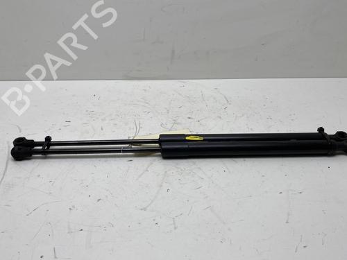 Tailgate lift support RENAULT CLIO IV (BH_) 1.5 dCi 75 | BP19975302C138 