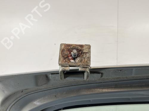 Tailgate RENAULT KANGOO (KC0/1_) D 65 1.9 (KC0E, KC02, KC0J, KC0N) | BP29413603C6 