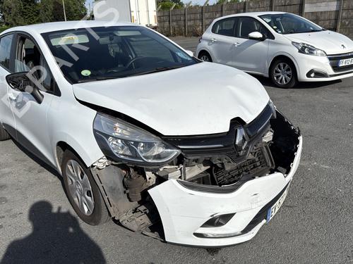 Left rear door RENAULT CLIO IV (BH_) 1.5 dCi 75 | BP29841969C4 