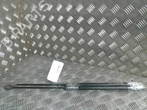 Used Tailgate lift support RENAULT MEGANE III Coupe (DZ0/1_) 1.5 dCi (DZ09, DZ0D, DZ1F, DZ1G, DZ14, DZ29) (110 hp) 20000269