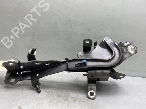 Used Hinge/Door check strap RENAULT SCÉNIC III (JZ0/1_) 1.5 dCi (110 hp) 19962662