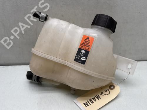 Used Expansion tank RENAULT KADJAR (HA_, HL_) 1.5 dCi 110 (HLA3) (110 hp) 28291294