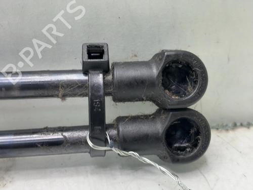 tailgate-lift-support-renault-twingo-ii-cn0_-2007-40170782 main image