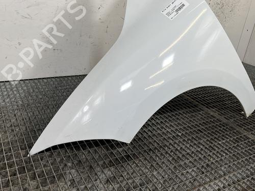 Left front fenders RENAULT MEGANE III Hatchback (BZ0/1_, B3_) 1.5 dCi (BZ0C) | BP31121598C41