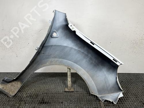Left front fenders RENAULT KANGOO / GRAND KANGOO II (KW0/1_) 1.5 dCi 90 (KW05, KW08, KW0G, KW11) | BP29352846C41 