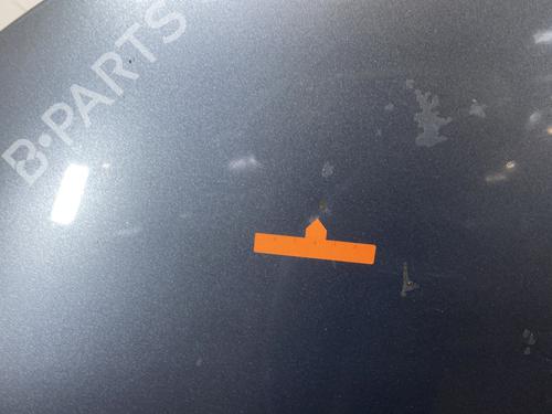 Hood PEUGEOT 207 CC (WD_) 1.6 HDi | BP26020371C1