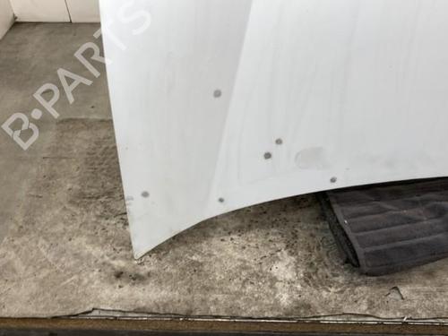 Hood RENAULT KANGOO Express (FC0/1_) D 65 1.9 (FC0E, FC02, FC0J, FC0N) | BP19958869C1 