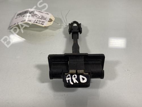 Hinge/Door check strap PEUGEOT 3008 II SUV (MC_, MR_, MJ_, M4_) 1.5 BlueHDi 130 | BP19993611C146