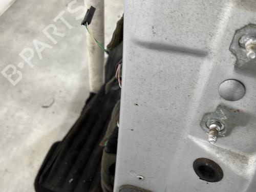 Left rear door RENAULT LAGUNA III (BT0/1) 2.0 dCi (BT01, BT08, BT09, BT0E, BT0K, BT12, BT1C, BT1D,... | BP30731069C4