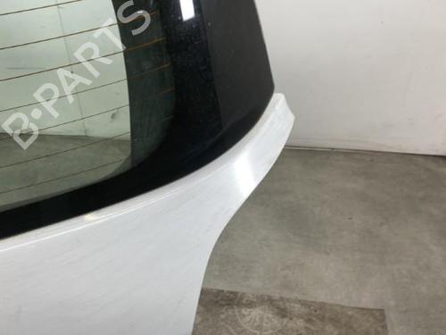 Tailgate RENAULT CLIO III (BR0/1, CR0/1) 1.5 dCi (C/BR0G, C/BR1G) | BP30546791C6 