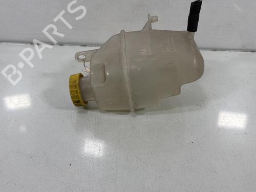 Expansion tank MINI MINI (R50, R53) Cooper | BP29707131C120
