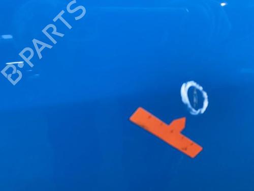 Left front door RENAULT TWINGO I (C06_)  | BP29253502C2 