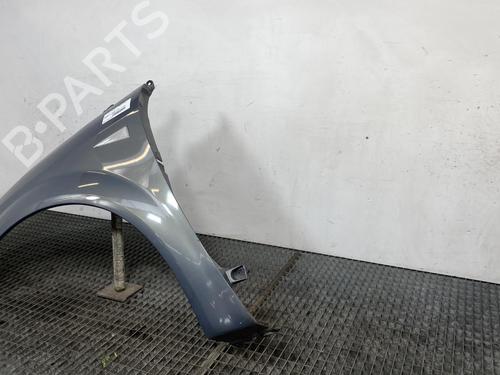Left front fenders RENAULT SCÉNIC II (JM0/1_) 1.5 dCi (JM1F) | BP19963287C41 