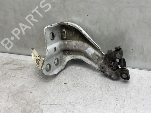 Hinge/Door check strap DACIA DOKKER Box Body/MPV  | BP19953862C146 