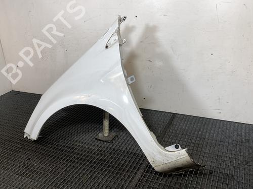 Left front fenders RENAULT CLIO III (BR0/1, CR0/1) 1.5 dCi | BP21820362C41 