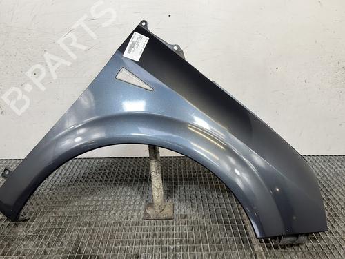 Right front fenders RENAULT SCÉNIC II (JM0/1_) 1.9 dCi (JM14) | BP29352828C42 