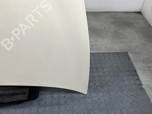 Hood LANCIA YPSILON (843_) 1.3 JTD (843.AXD11, 843.AXD1A) | BP29039329C1 