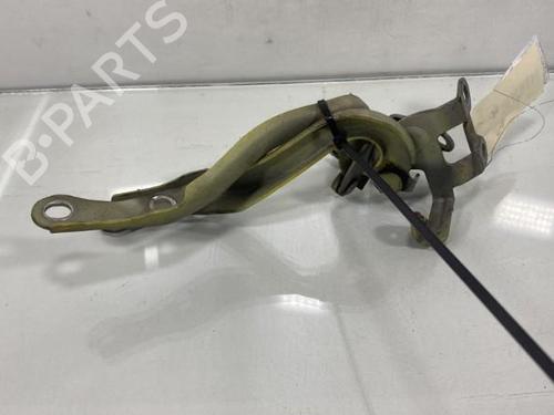 Hinge/Door check strap PEUGEOT 107 (PM_, PN_) 1.0 | BP19969058C146 