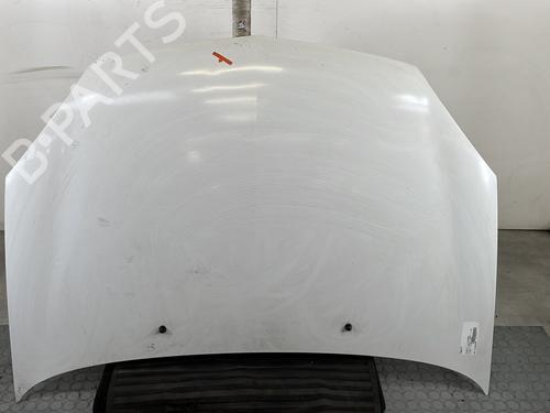 Used Hood RENAULT CLIO II (BB_, CB_) 1.5 dCi (B/C2J) (68 hp) 30171546