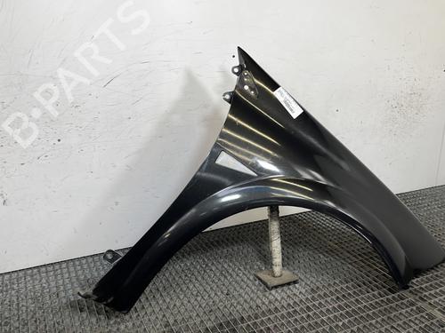 Right front fenders RENAULT MEGANE II (BM0/1_, CM0/1_) 1.5 dCi (BM1E, CM1E) | BP29508217C42 