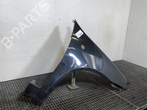 Right front fenders FIAT PUNTO (188_) 1.3 JTD 16V | BP22273994C42 
