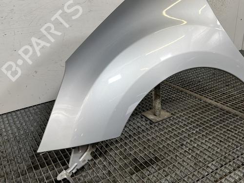 Left front fenders CITROËN C3 II (SC_) 1.2 VTi 82 | BP29352848C41 