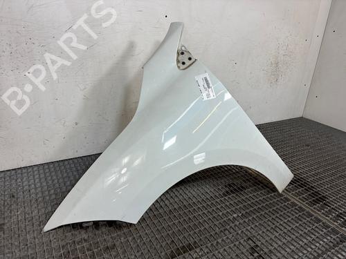 left-front-fenders-renault-megane-iii-hatchback-bz01_-b3_-2008-38597804 main image