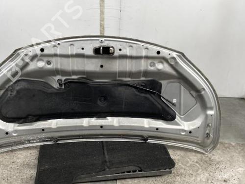 Used Hood NISSAN NV200 Van 1.5 dCi 90 (M20, M20N, M20M) (90 hp) 21961706