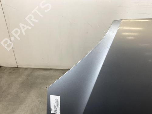 Hood FORD FOCUS C-MAX (DM2) 1.8 | BP21963814C1 
