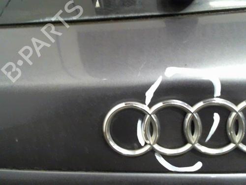 Tailgate AUDI A3 (8L1) 1.8 | BP21664225C6 