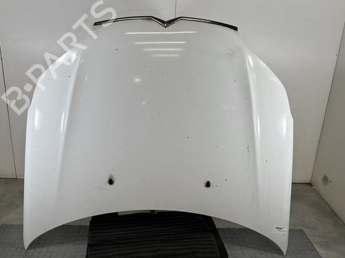 Used Hood CITROËN C5 III (RD_) 1.6 HDi 110 (RD9HL0, RD9HR8, RD9HRA) (112 hp) 31641173