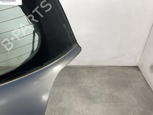 Tailgate RENAULT MEGANE II (BM0/1_, CM0/1_)  | BP21960660C6 