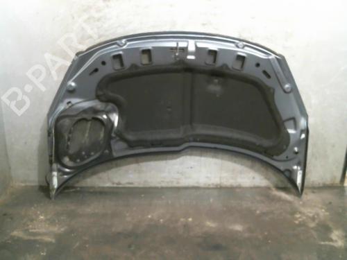 Hood PEUGEOT 206+ (2L_, 2M_)  | BP20015245C1