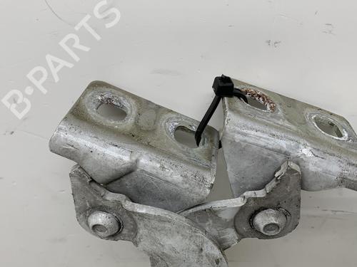 Hinge/Door check strap RENAULT KANGOO Express (FW0/1_)  | BP20023593C146 
