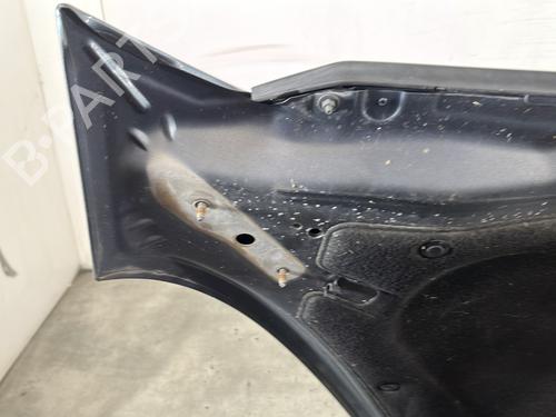 Hood CITROËN C4 Grand Picasso I (UA_) 2.0 HDi 150 | BP29886905C1