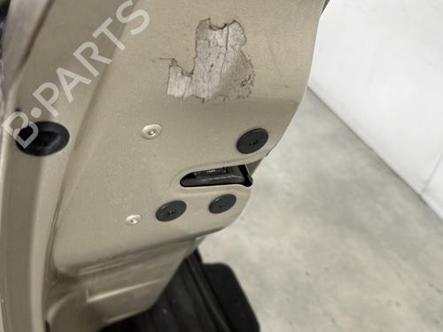 Left front door RENAULT CLIO III (BR0/1, CR0/1) 1.5 dCi (BR17, CR17) | BP29841700C2