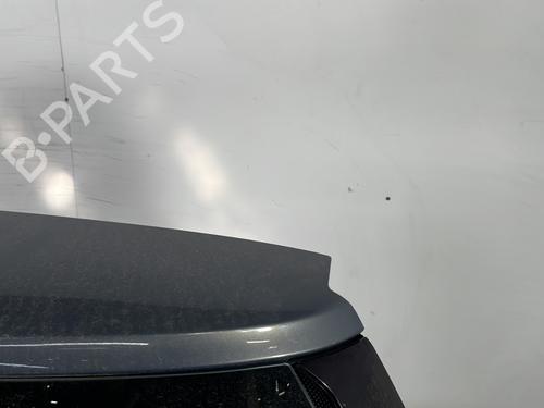 Tailgate RENAULT SCÉNIC II (JM0/1_) 1.5 dCi (JM1E, JM16) | BP28280897C6 