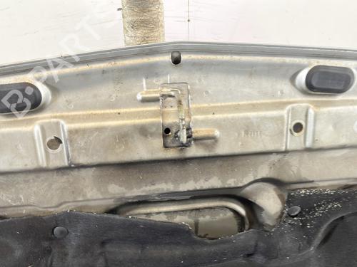 Hood DACIA LOGAN MCV (KS_) 1.6 16V (KS0L, KS0M, KS0P, KS1S) | BP30674951C1 